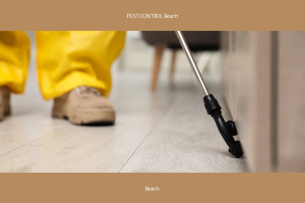 PEST CONTROL Beach